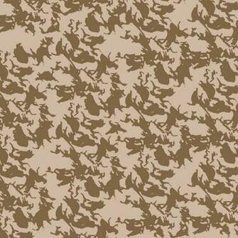 The Light Brown Background