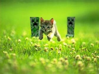 Cats Minecraft Wallpaper