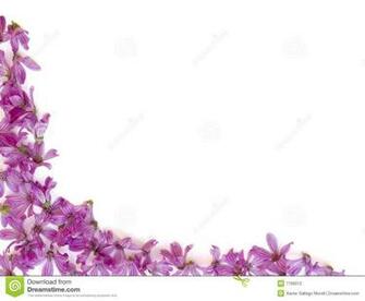 White Background Wallpaper Flowers Clipartsgram