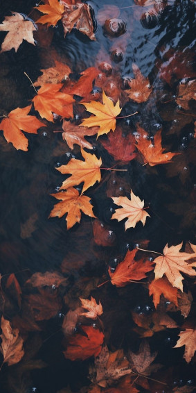 Gorgeous Fall Phone Wallpaper Artofit