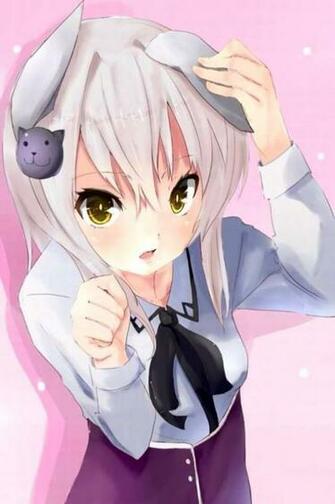Koneko Chan Anime Amino