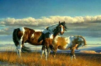Paint Horses Wallpaper