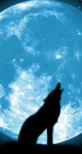At Moon iPhone Wallpaper Kootation iPhone5s Gallery
