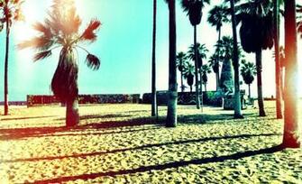 Venice Beach Wallpaper Desktop Sinaga