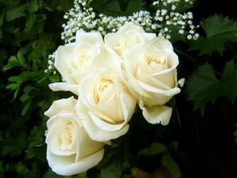 Get HD Wallpaper Widescreen iPhone
