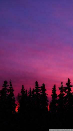 Pink Sunset Phone Wallpaper By Duhleah