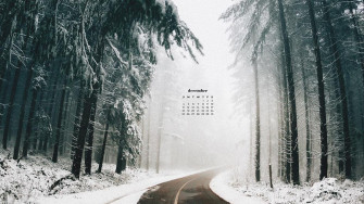 December Wallpaper Bies For Desktop Phones