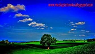 Animated Wallpaper For Android Mediapicture4u