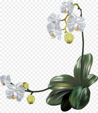 19e29c70ea0ad19b46261c7758a67535 Wallpaper