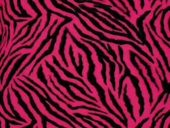Pink Zebra Graphics Code Comments Pictures