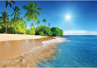 Amazon Summer Beach Sunshine Photography Background