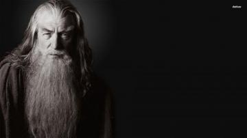 Dumbledore Wallpaper On