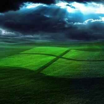 Wallpaper Windows Field Grass Operating System
