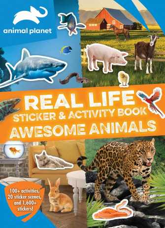 Animal Planet Picture Wallpaper
