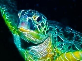 Sea Turtle Animated Wallpaper Desktopanimated