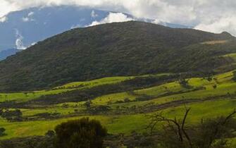 Green Mountain Wallpaper