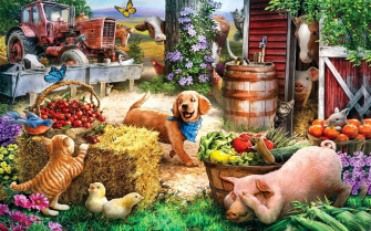 Farm Animals Wallpaper