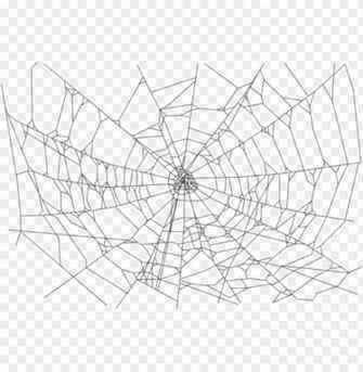 Transparent Background Spider Web Png Image With