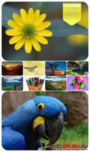 Ultra HD Wallpaper Pack Pixelbrush