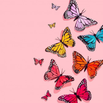 Butterfly Wallpaper