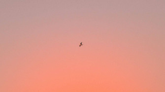 Aesthetic Peach Sunset Laptop Wallpaper