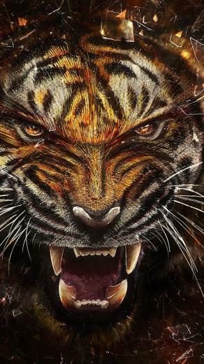 Tiger Background iPhone 5s Wallpaper