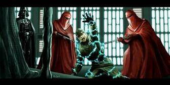 Star Wars Imperial Guard Art Showing The