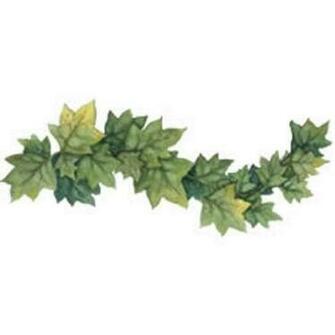 Ivy Leaf Border