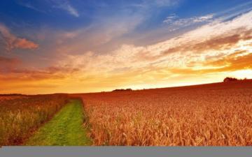 Farm Wallpaper Top Background