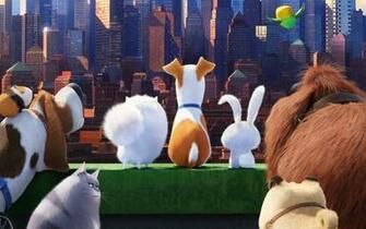 The Secret Life Of Pets Movie Click To