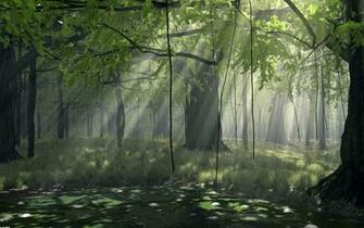 Black And White Pictures Anime Forest Wide Wallpaper