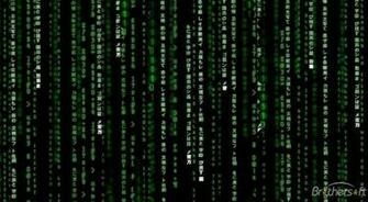 Animated Matrix Wallpaper