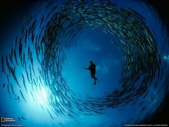 Best Beautiful Wallpaper Most Famous National Geographic HD