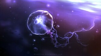 Queen Jellyfish Wallpaper HD