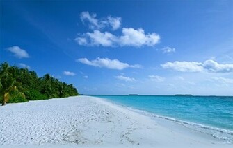 Long White Sandy Beach Wallpaper