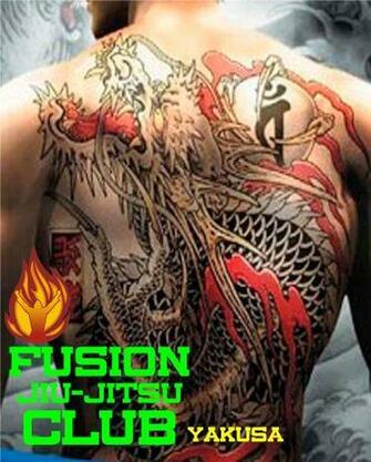 Fusion Jiu Jitsu Club Wallpaper Novos Modelos