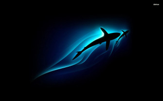 Shark Wallpaper Image Photos Picture