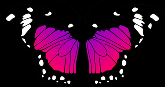 Pink And Purple Butterfly Pictures