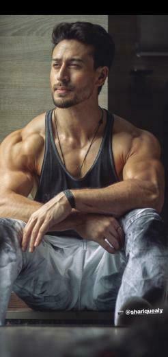Tiger Shroff Bollywood Celebrities In