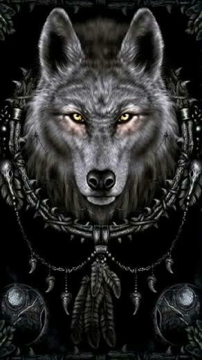 Wallpaper Wolf Dream Catcher For