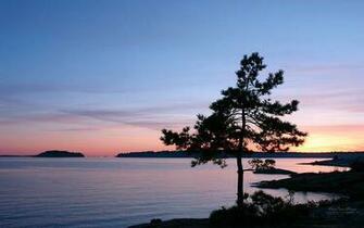 Boat Rides On Lake Minnetonka Wallpaper High Resolution Widescreen