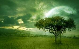 Golden Dream Desktop Wallpaper And Themes