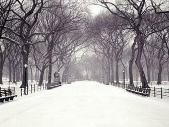 2c Central Park New York City Christmas Wallpaper Jpg