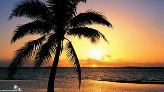 Nalin Kane Beachball Extended Vocal Mix Trance Music