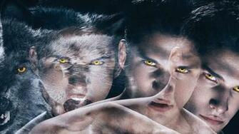 Teen Wolf Comedy Drama Horror Dark Series Werewolf Wallpaper