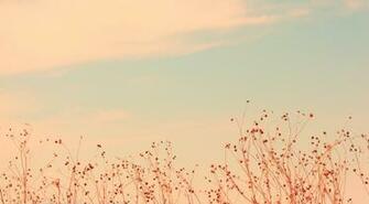 Soft Wallpaper Desktop Cool Walldiskpaper