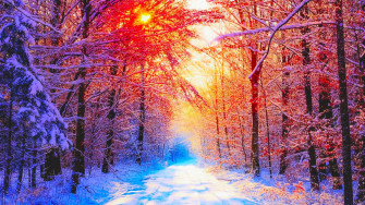 Winter HD Widescreen Wallpaper