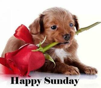 Sunday You Can Easily And Wish Your Friends Happy