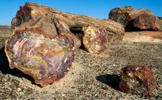 Petrified Forest National Park HD Wallpaper