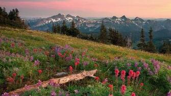 Summer Landscape Wallpaper